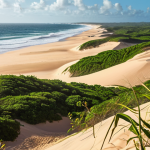 **Coastal Dune Dynamics:** A vibrant, sun-drenched coastline in Ceará, Brazil, featuring dynamic sand dunes interacting with wind, tides, and lush vegetation. Focus on the interplay of natural elements shaping the unique coastal landscape.